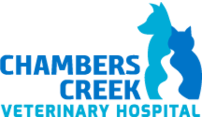 Chambers Creek Veterinary Hospital-HeaderLogo